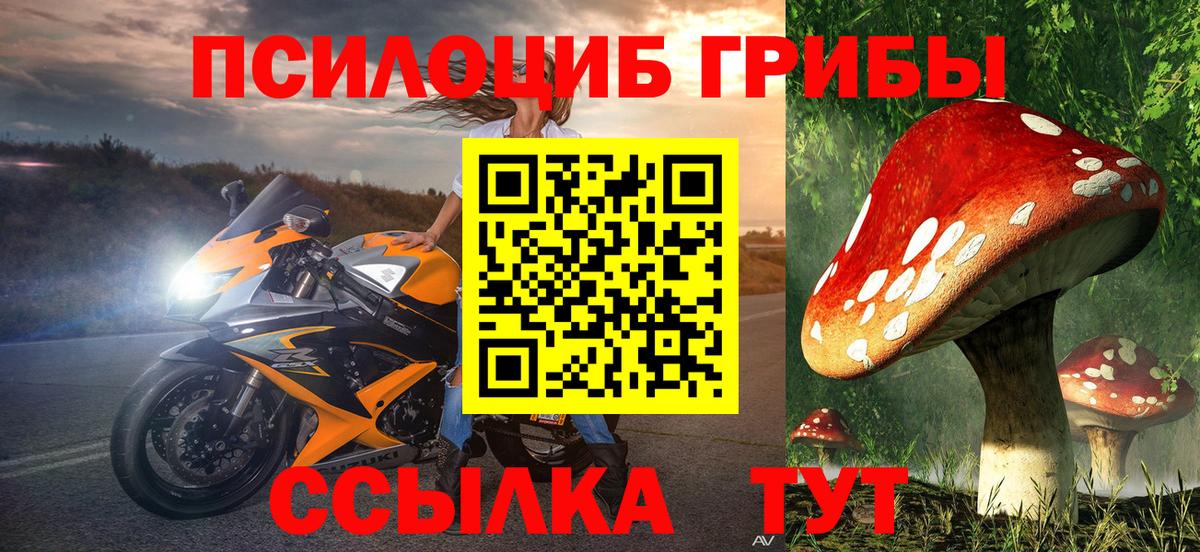 Галлюциногенные грибы Cubensis  Вход с VPN  Борзя 
